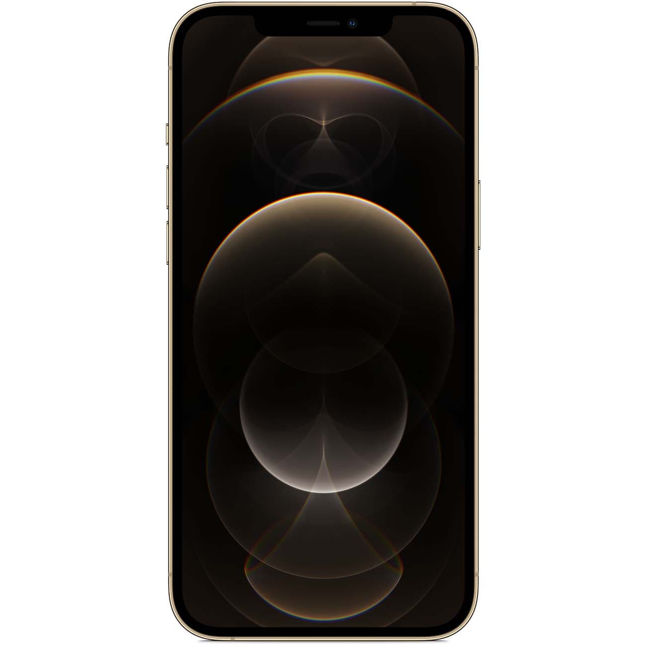 iPhone 12 Pro 256GB Gold — купить в Белгороде, фото 2