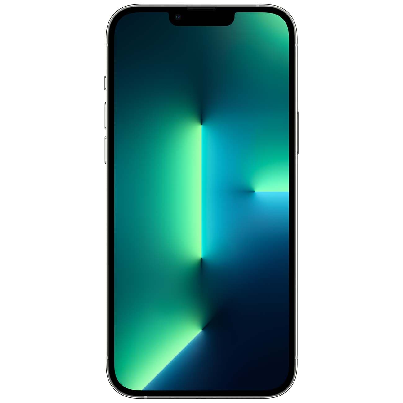 iPhone 13 Pro Max 1TB Silver — купить в Белгороде, фото 2